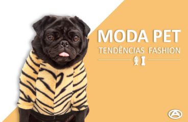 Moda Pet – Tendências fashion para cães e gatos